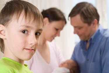 Similar image 1116210