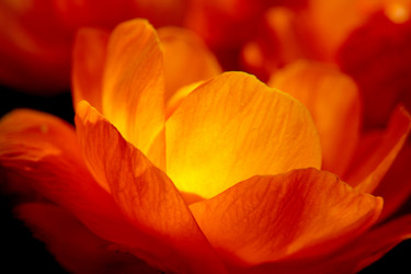 Similar image 1116214