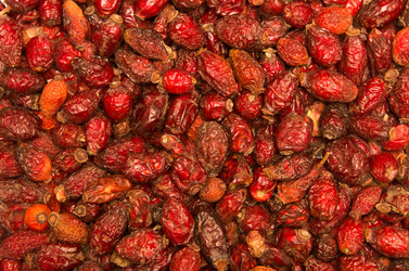 Similar image 1116215