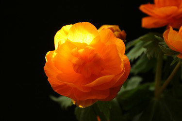 Similar image 1116221