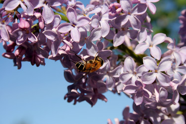 Similar image 1116222