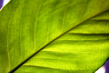 Similar image 1116224