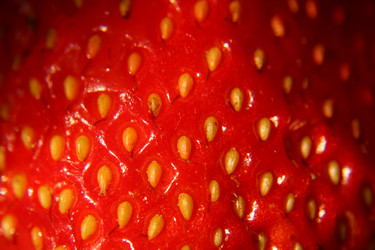 Similar image 1116225