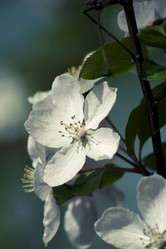 Similar image 1116238