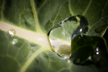 Similar image 1116239