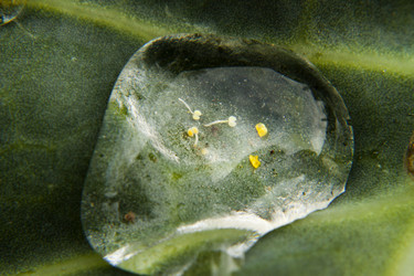 Similar image 1116241