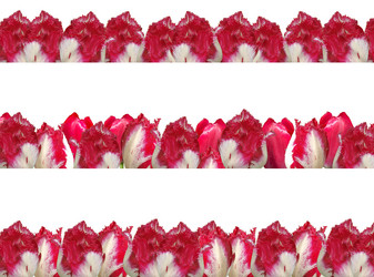 Similar image 1116281