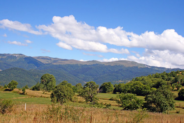 Similar image 1116345