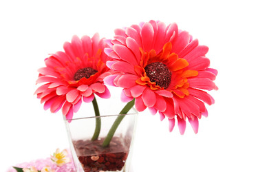 Similar image 1116346