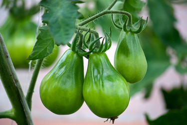 Similar image 1116354