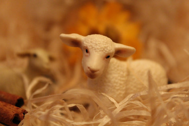 Similar image 1116367