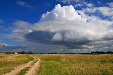 Similar image 1116374