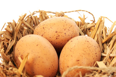 Similar image 1116390