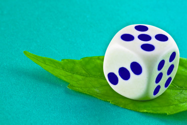 Similar image 1116485