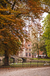 Similar image 1116510