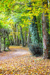 Similar image 1116523