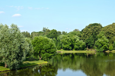 Similar image 1116525