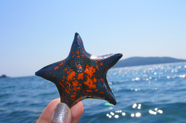 Similar image 1116593