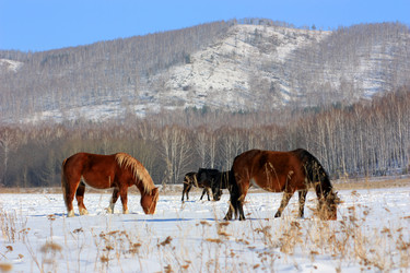 Similar image 1116625