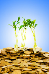 Similar image 1116667