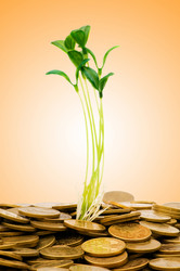 Similar image 1116756