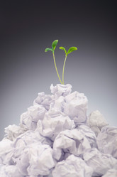 Similar image 1116805