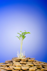 Similar image 1116981