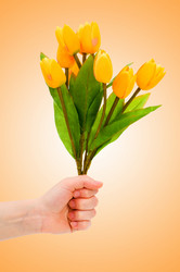 Similar image 1117119