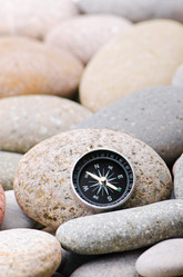 Similar image 1117158