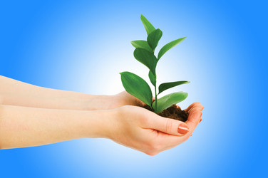 Similar image 1117417