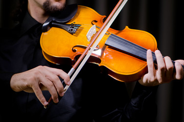 Similar image 1117459