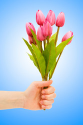 Similar image 1117482