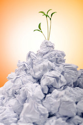 Similar image 1117546