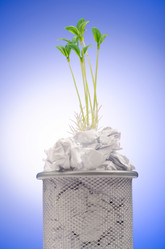 Similar image 1117548