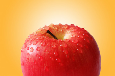 Similar image 1117575