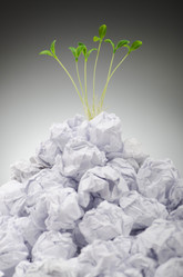 Similar image 1117637