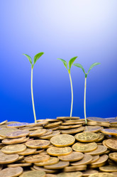 Similar image 1117666