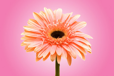 Similar image 1117805