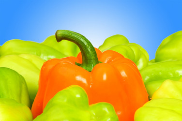 Similar image 1117901