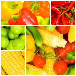 Similar image 1118003