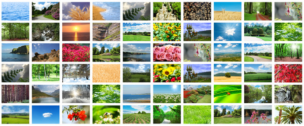 Similar image 1118007