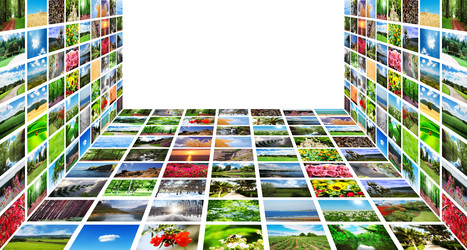 Similar image 1118010