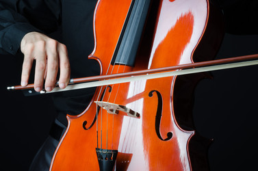 Similar image 1118045