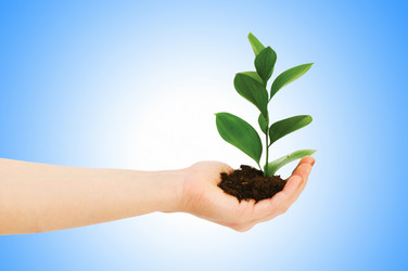 Similar image 1118072