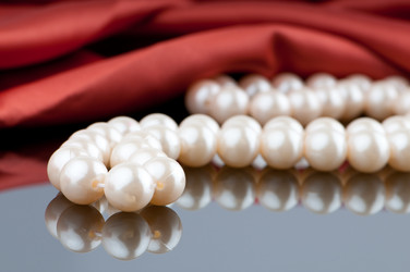 Similar image 1118082