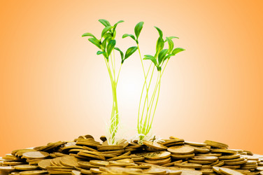 Similar image 1118218