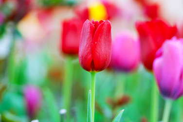 Similar image 1118341