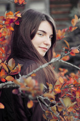 Similar image 1118576