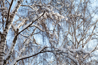 Similar image 1118602