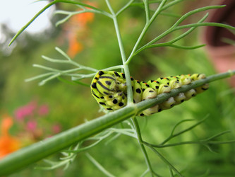 Similar image 1118617